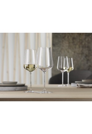 Spiegelau Definition Universal (2 adet)