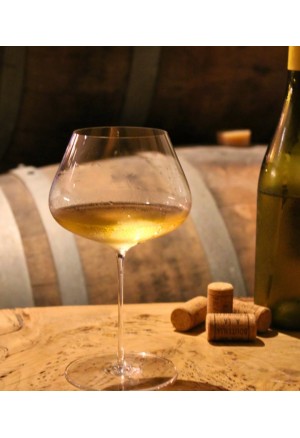 ZALTO Balance (1 adet)