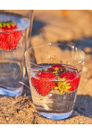 ZALTO  Becher - Coupe Kristal Clear Bardak (1 adet)