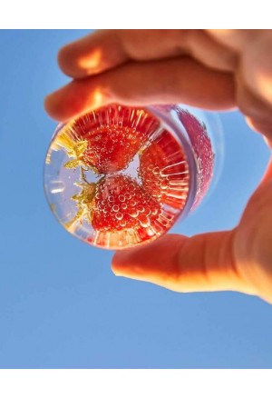 ZALTO  Becher - Coupe Kristal Clear Bardak (1 adet)