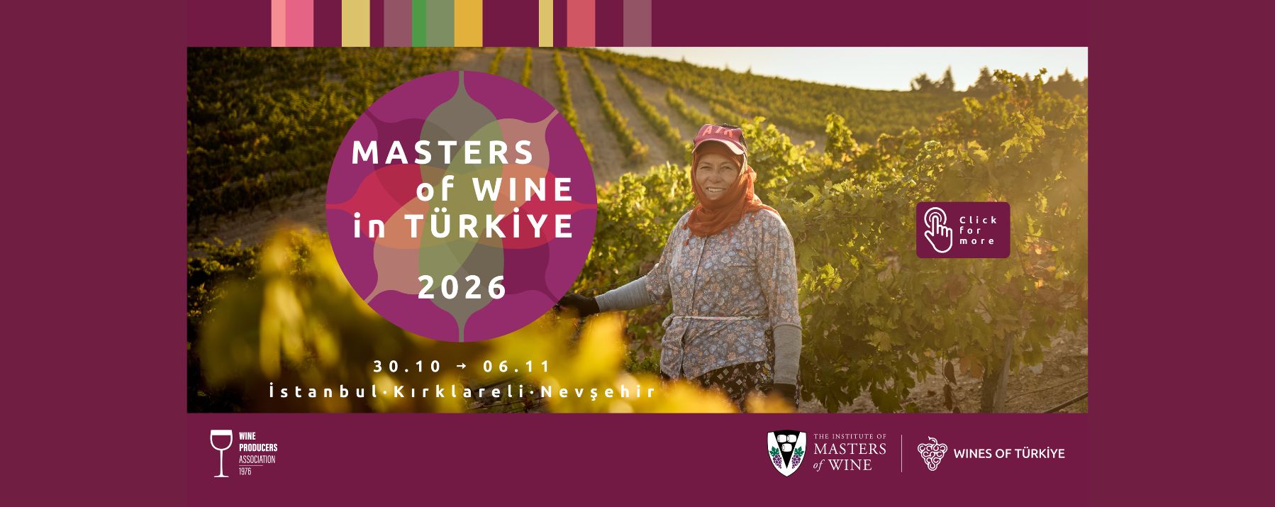Masters of Wine in Türkiye