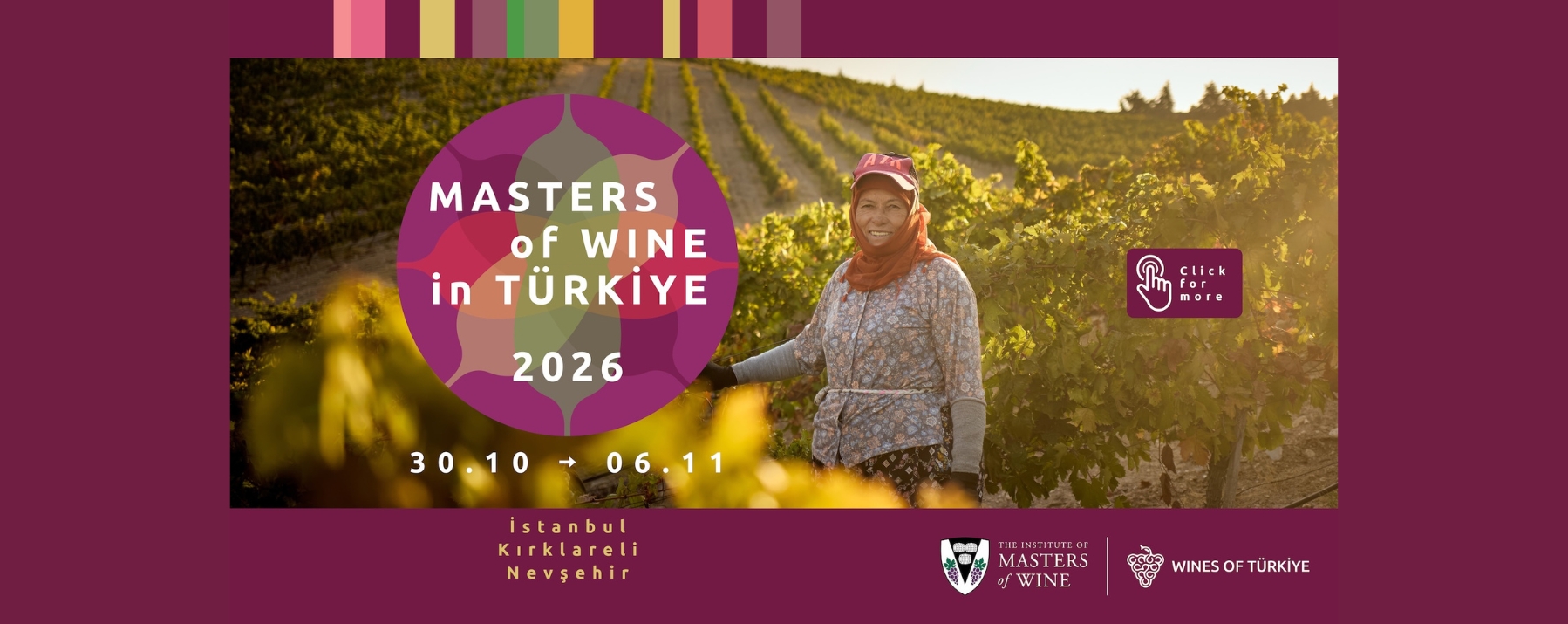 Masters of Wine in Türkiye